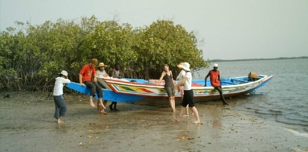 pirogue sine saloum sénégal
