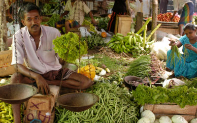 Réseaux sociaux et tourisme en 2026 : guide des bonnes pratiques